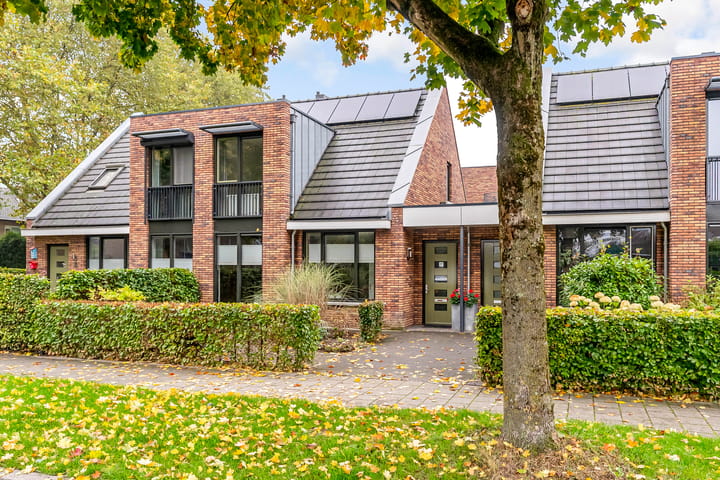 Esdoorn 1b in Odijk