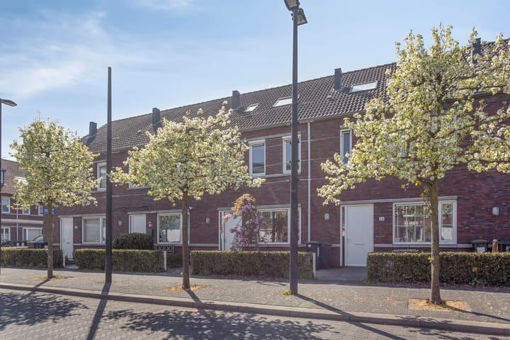 Ethekwini 56 in Amsterdam