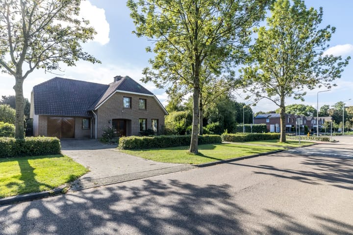 Exelsboom 2 in Geleen
