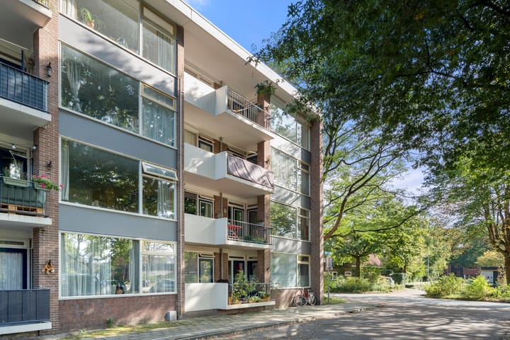 Eykmanstraat 2-III in Wageningen