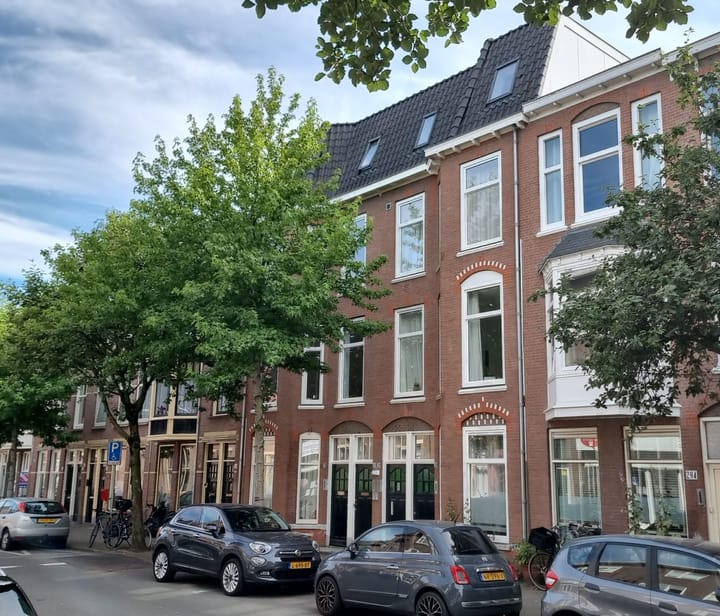 Fahrenheitstraat 288 in 's-Gravenhage