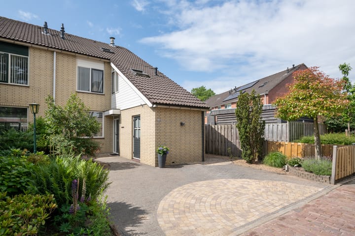 Fazant 142 in Ridderkerk