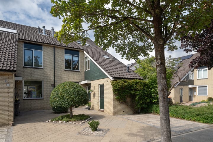 Fazant 163 in Ridderkerk