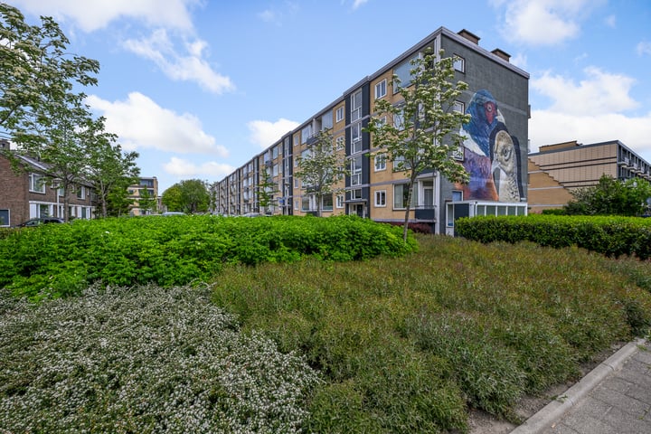 Fazantstraat 16 in Alphen aan den Rijn