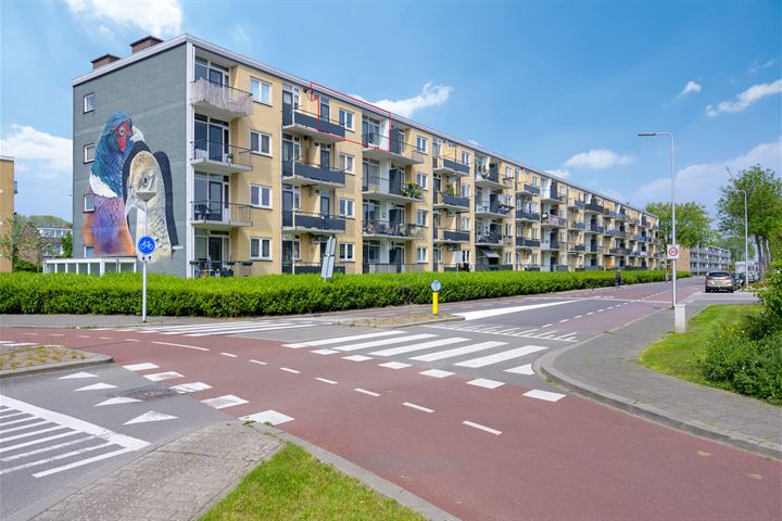 Fazantstraat 24 in Alphen aan den Rijn