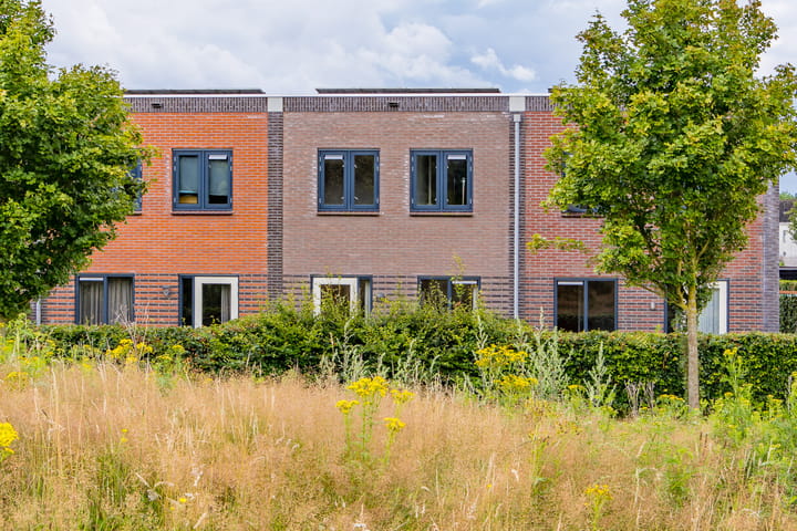 Foto van woning Fibula 21, Borger