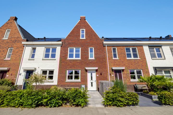 Fibula 43 in Zuidland photo