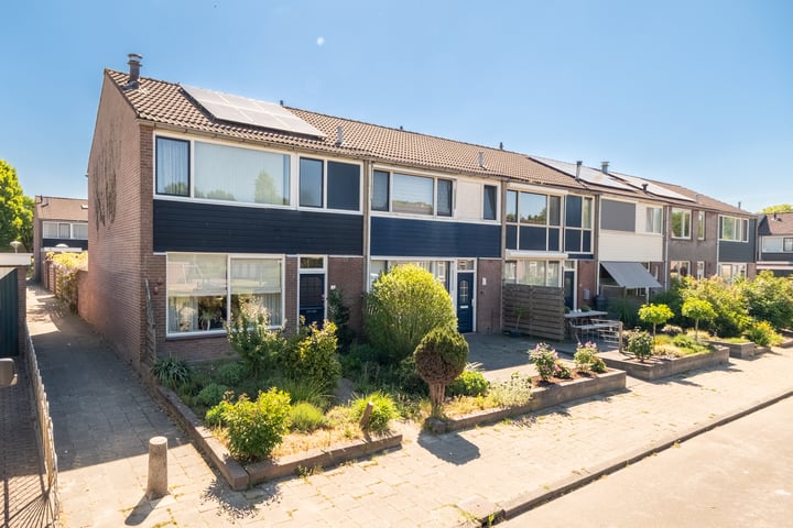 Fliksakkers 1 in Peize