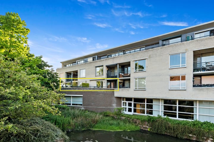 Fluitekruid 6 in Den Hoorn