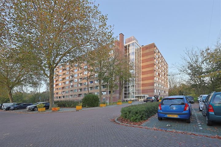 Fluitekruidweg 229 in Zaandam