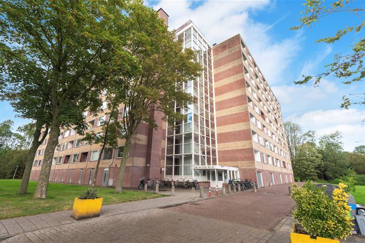 Fluitekruidweg 327 in Zaandam