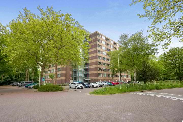 Fluitekruidweg 51 in Zaandam