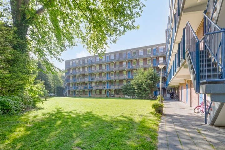 Photo of property Fluitekruidweg 62, Zaandam