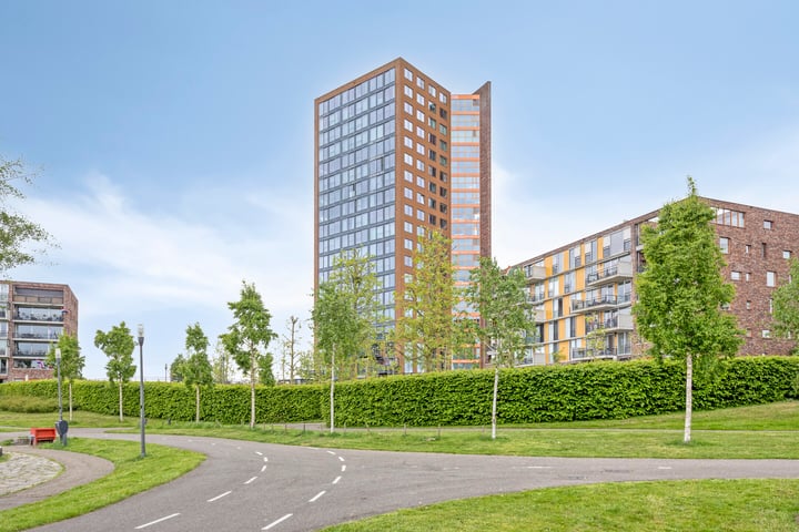 Forel 224 in Amersfoort