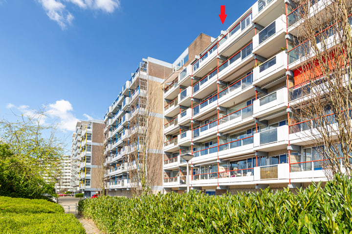 Forellendaal 357 in 's-Gravenhage photo