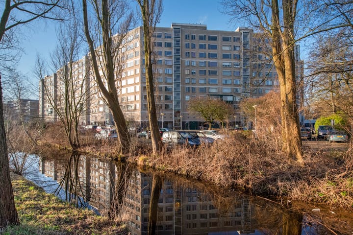 Forellendaal 782 in 's-Gravenhage foto