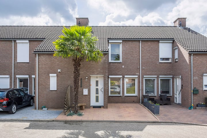Fossielenerf 692 in Heerlen foto