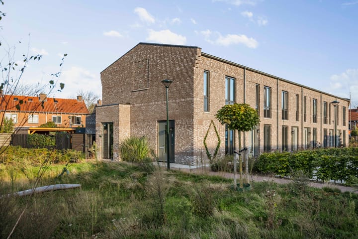 Frans Halserf 3 in Twello