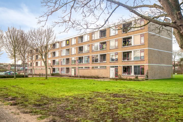 Frans Halsstraat 24B in Spijkenisse foto