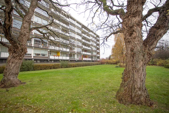 Photo de la maison Frerikshuislaan 141, Almelo