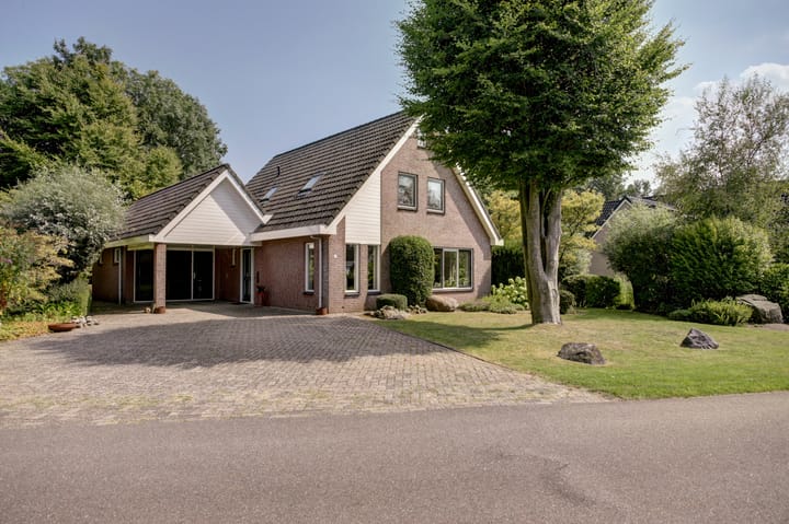 Fuut 17 in Broek op Langedijk photo