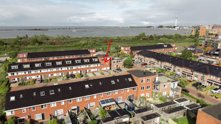 Galjoen 05 8 in Lelystad foto