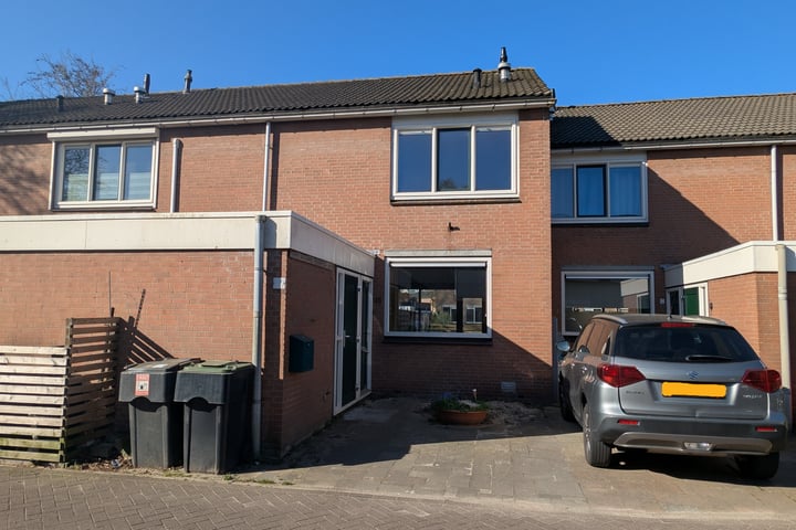 Gans 10 in Zoeterwoude