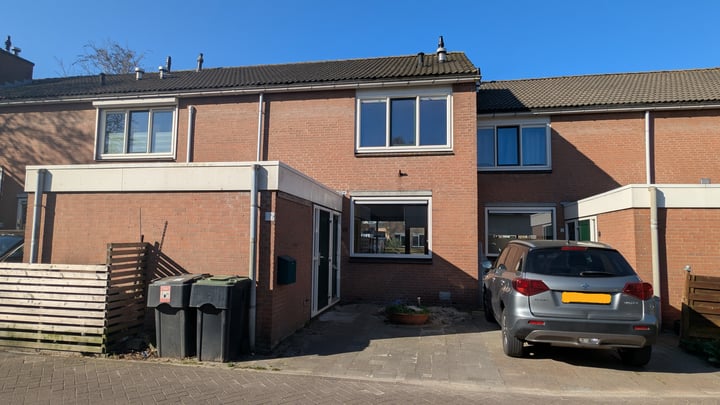 Gans 10 in Zoeterwoude
