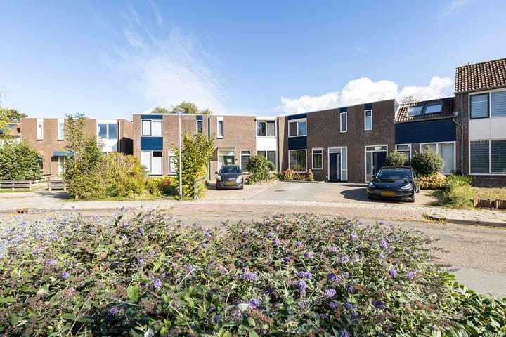 Ganzenerf 103 in Delfzijl