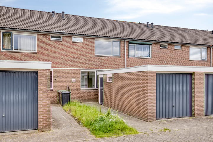 Ganzepeppel 86 in 's-Heerenberg