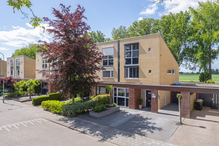 Gargouille 43 in Tiel foto