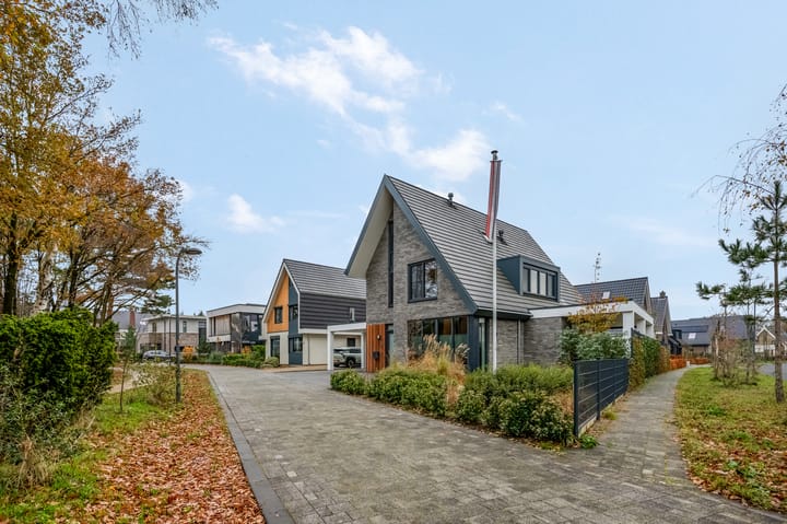 Photo of property Gebroeders van Steenbergenplantsoen 21, Ede