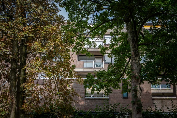 Gedempte Gracht 521 in 's-Gravenhage