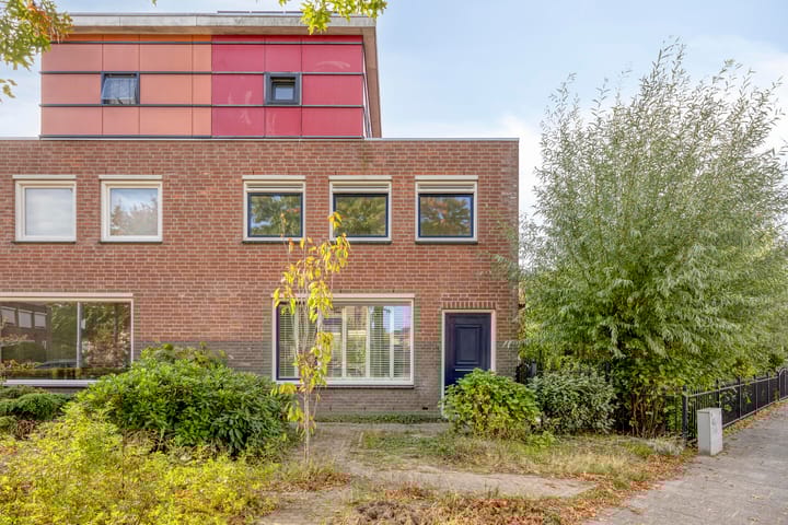 Gelaarsde Kat 1 in Eindhoven foto