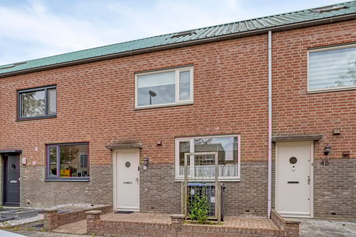 Gelaarsde Kat 43 in Eindhoven