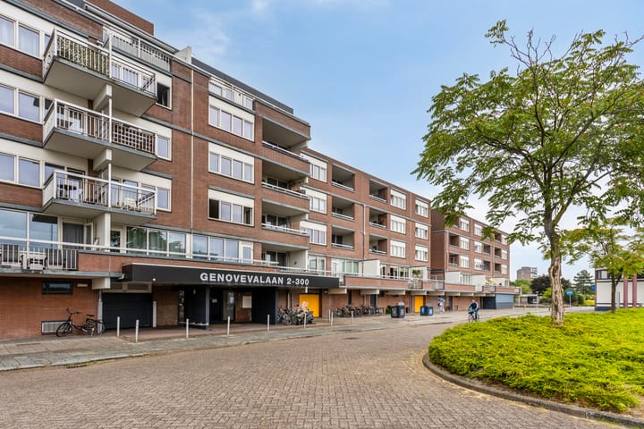 Genovevalaan 176 in Eindhoven