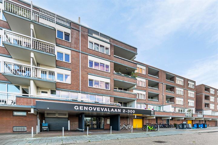 Genovevalaan 46 in Eindhoven