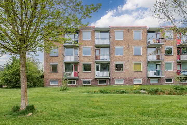 Photo of property Gerard Doustraat 81, Assen