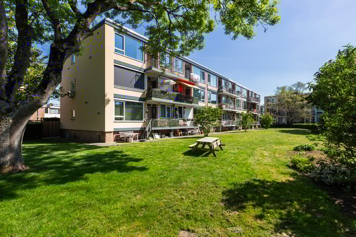 Gijsbert Steenhoekstraat 43 in Rotterdam