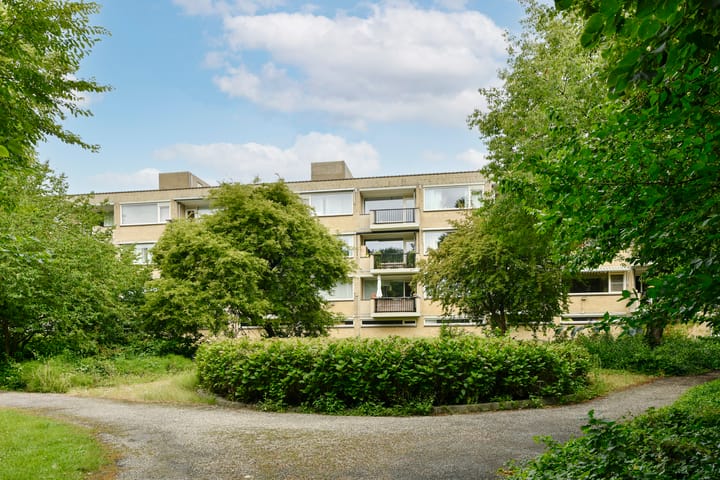 Gijsbrecht van IJselsteinstraat 219 in Amsterdam
