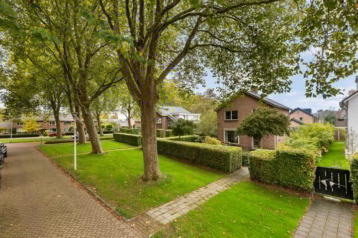 Goeman Borgesiuslaan 1 in Zwolle