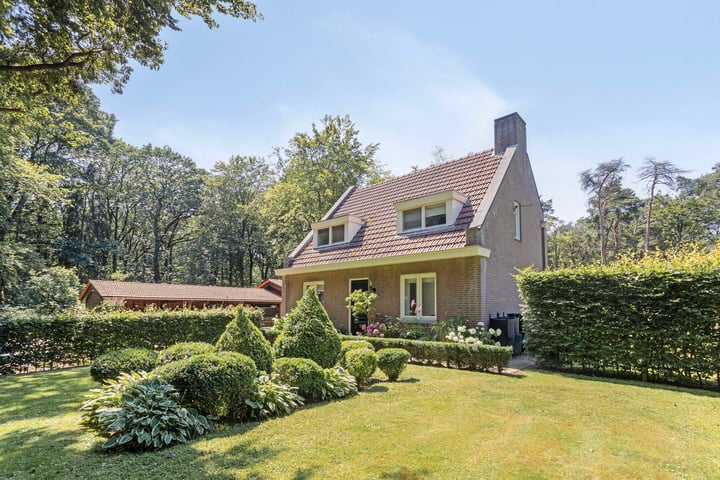 Gorp aan de Ley 2 in Hilvarenbeek
