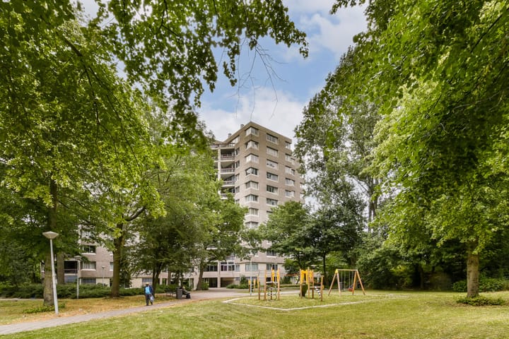Gouden Leeuw 136 in Amsterdam
