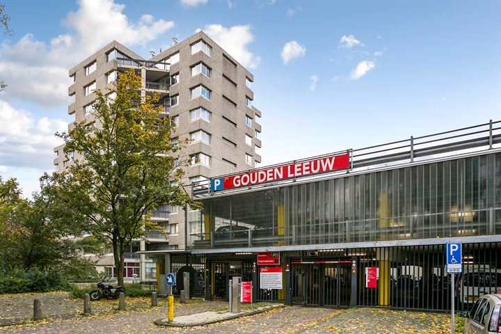 Gouden Leeuw 211 in Amsterdam