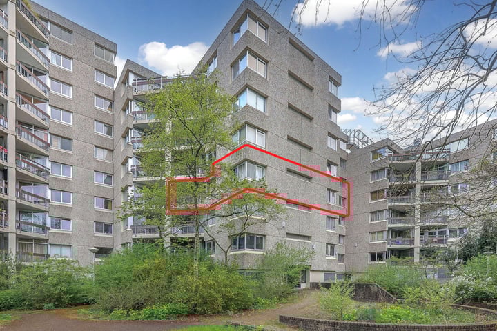 Gouden Leeuw 515 in Amsterdam