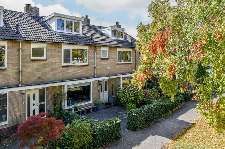 Gouden Reaal 15 in Mijdrecht