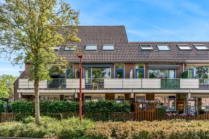 Goudfazant 34 in Nieuwegein
