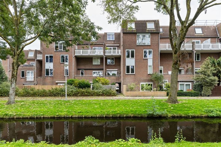 Goudmos 146 in Nieuwerkerk aan den IJssel