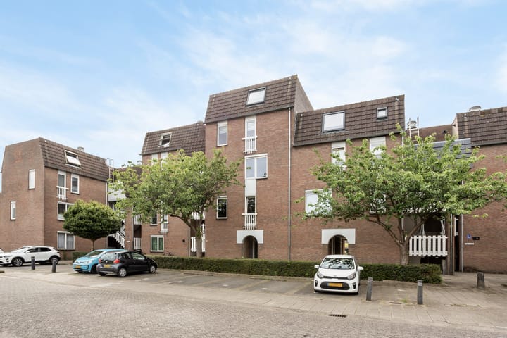 Goudmos 86 in Nieuwerkerk aan den IJssel