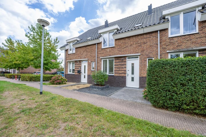 Goudplevier 10 in Maurik